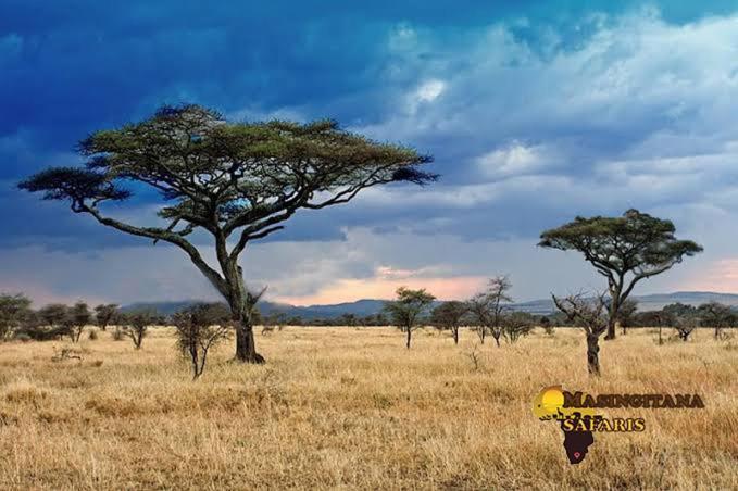 Mzsingitana Tented Camp Hoedspruit Exterior foto