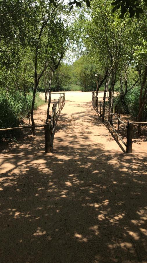 Mzsingitana Tented Camp Hoedspruit Exterior foto