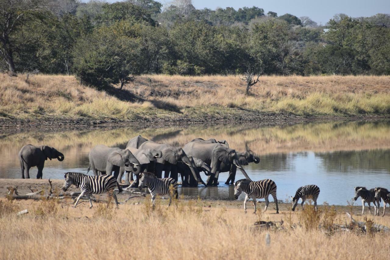Mzsingitana Tented Camp Hoedspruit Exterior foto