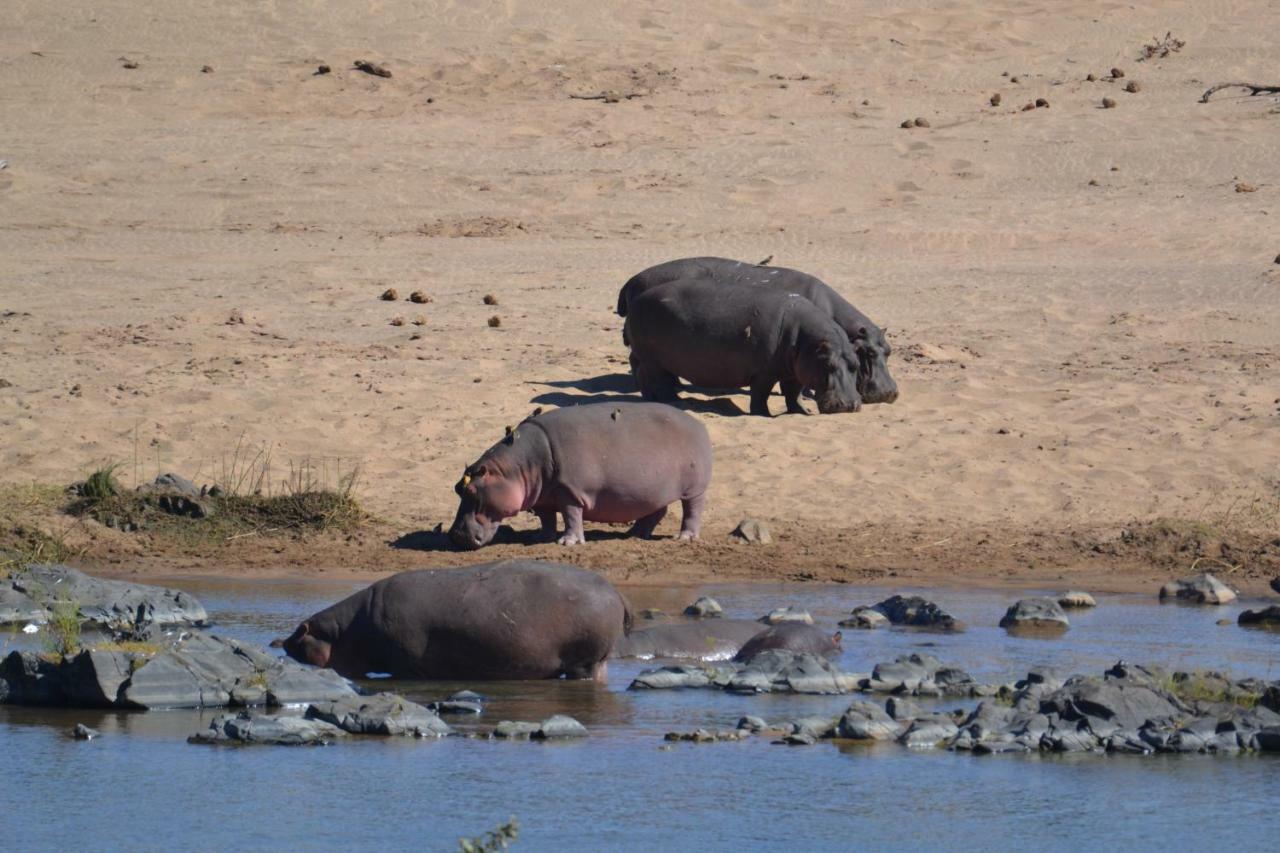 Mzsingitana Tented Camp Hoedspruit Exterior foto